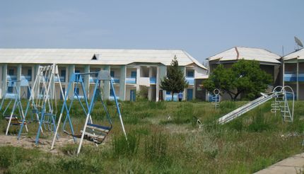 Эдельвейс